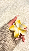 Pince à cheveux fleur jaune et blanche